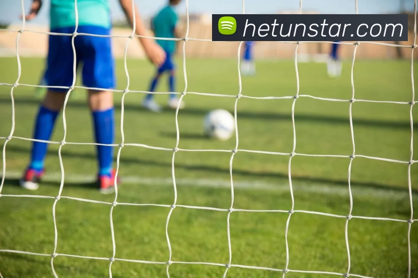 河豚直播官网平台生态图